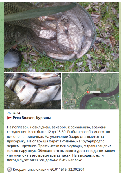 Подробнее о статье Новости о рыбалке в Ленинградской области 28.04.2024