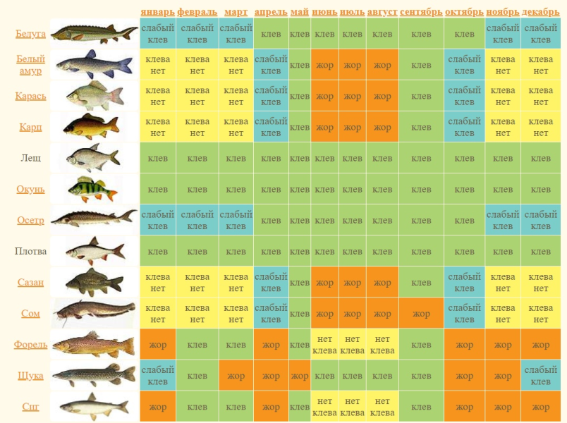 Подробнее о статье Рыбалка в разных регионах нашей страны в мае, на что нужно обратить внимание