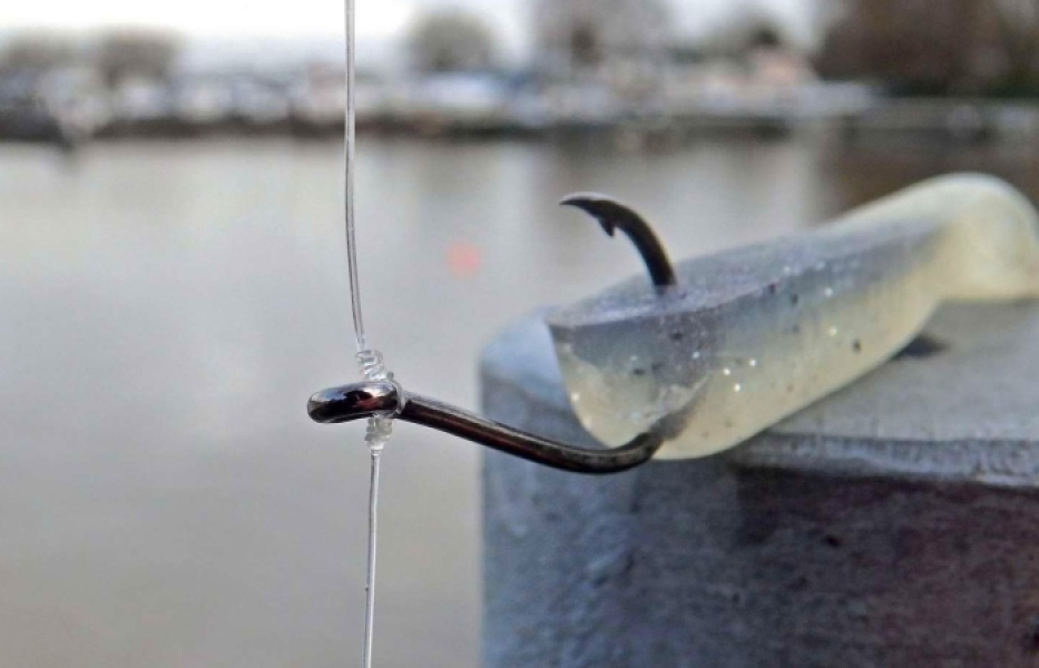 Подробнее о статье Дроп-шот — что это за оснастка? Как успешно ловить рыбу?